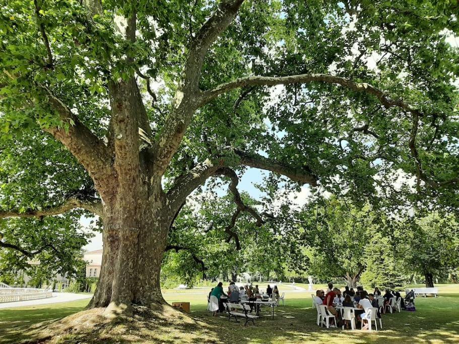 Un séjour d'exception au Logis du Château Saint-Pierre-de-l'Isle Exterior foto
