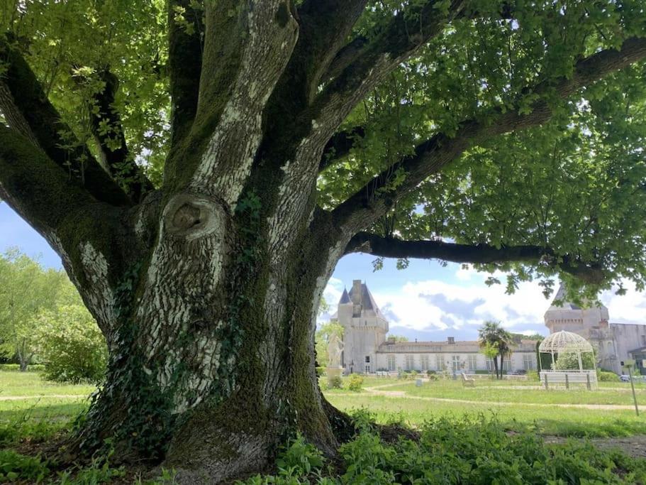Un séjour d'exception au Logis du Château Saint-Pierre-de-l'Isle Exterior foto